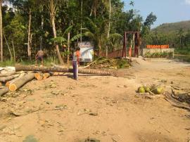 Ganggu Kenyamanan Parkir, Beberapa Pohon ditebang