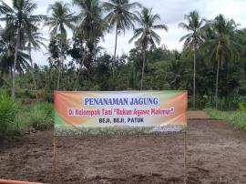 Kelompok Tani Beji ,Tanam Jagung Bantuan