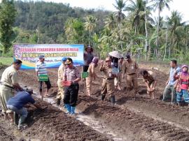 Gerakan Penanaman Bawang Merah di Beji oleh Kelompok Tani Rukun Agawe Makmur