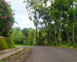 Jarak Pandang Terbatas, Dua Lokasi Tikungan Diusulkan Cermin Tikung